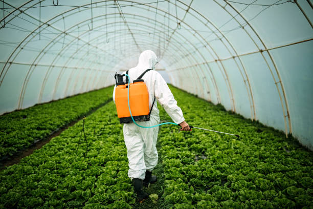 Best Mosquito Control Services  in Mason City, IL