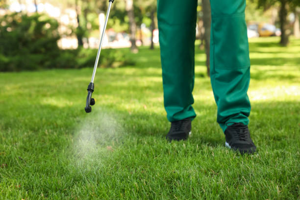 Best Pest Prevention Services  in Mason City, IL