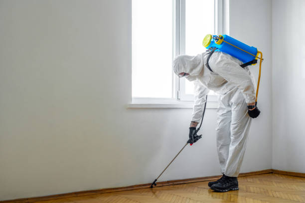 Best Affordable Pest Control Services  in Mason City, IL