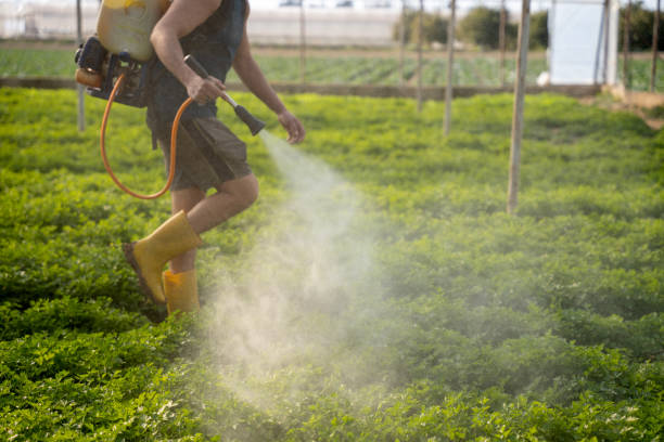 Best Exterminator Services  in Mason City, IL