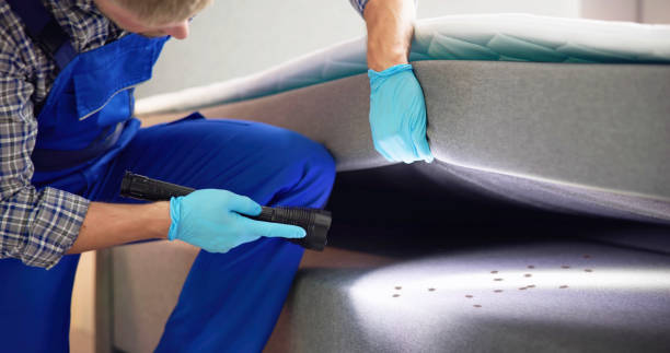 Pest Prevention Services in Mason City, IL