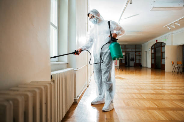 Best Best Pest Control Companies  in Mason City, IL