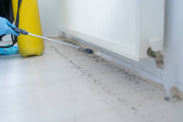 Best Pest Inspection Near Me  in Mason City, IL