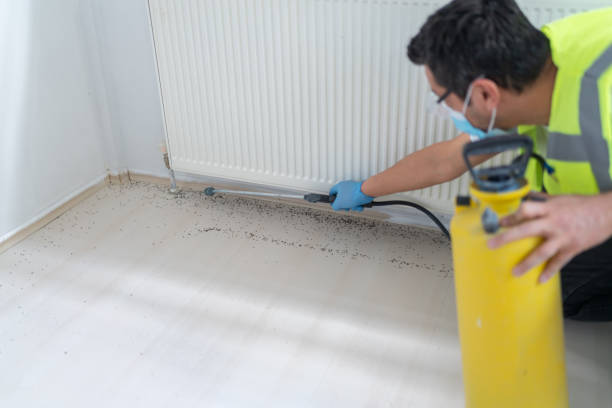 Best Commercial Pest Control Services  in Mason City, IL