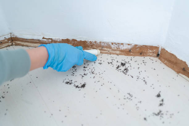 Best Commercial Pest Control Services  in Mason City, IL