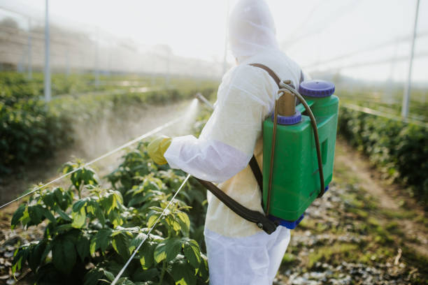 Best Best Pest Control Companies  in Mason City, IL